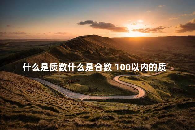 什么是质数什么是合数 100以内的质数顺口溜